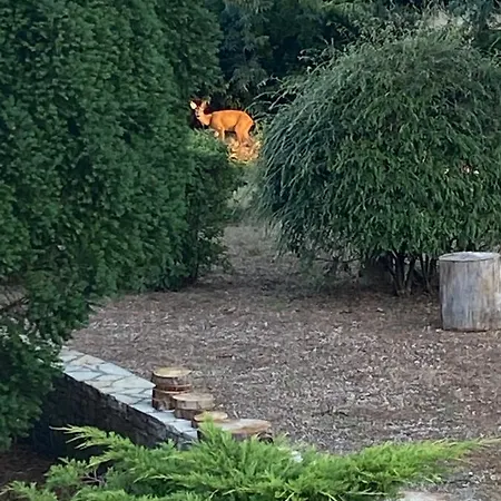 Le Jardin Du Moustoulac D'hotes كاهورْ