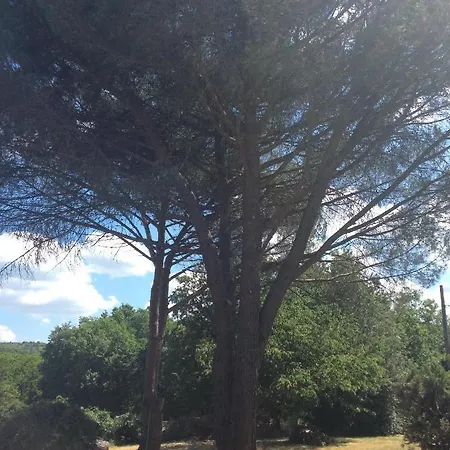 Le Jardin Du Moustoulac D'hotes 2*