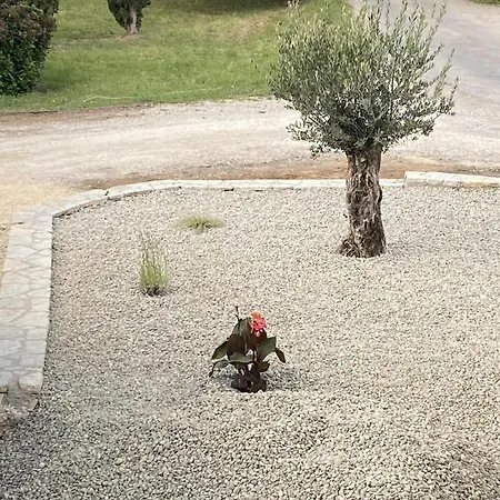 Le Jardin Du Moustoulac D'hotes Cahors